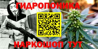 метадон Сланцы