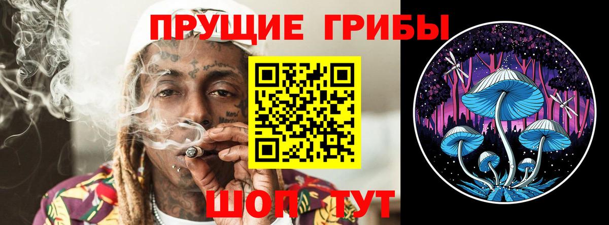 Галлюциногенные грибы MAGIC MUSHROOMS Пенза